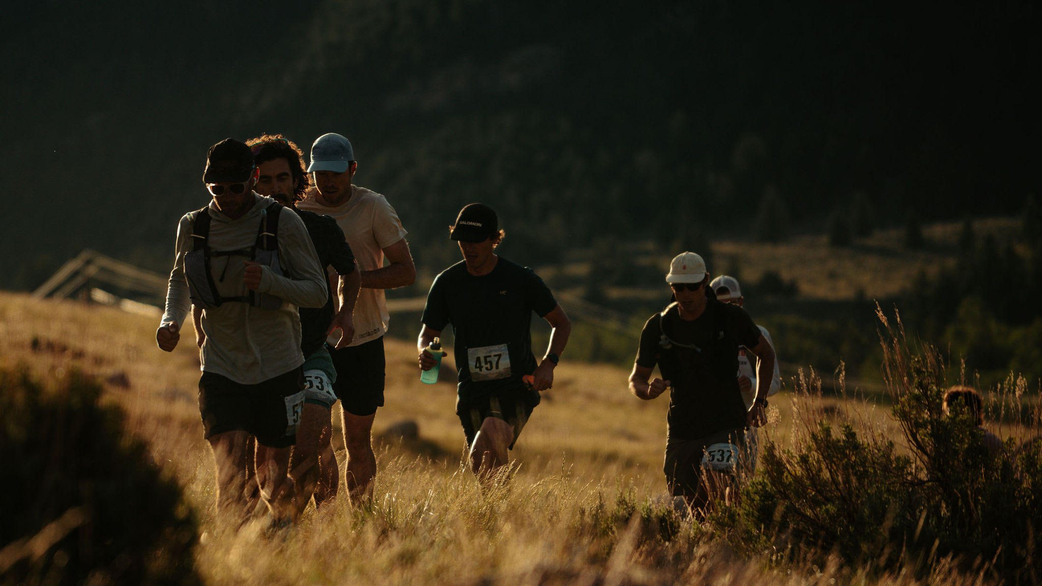 Trail runners racing through tall grass at golden hour